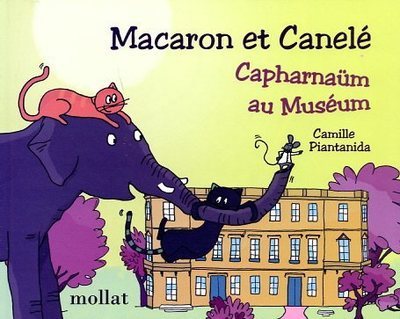Macaron et Canelé, Capharnaüm au Muséum