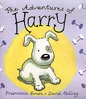 The Adventures of Harry