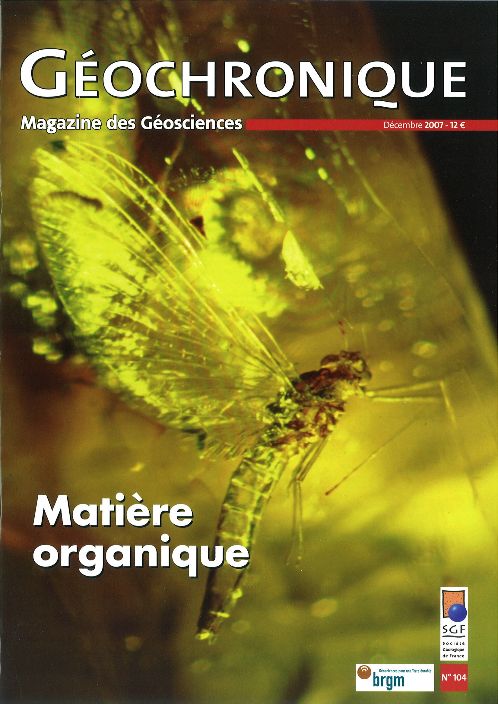 Matière organique