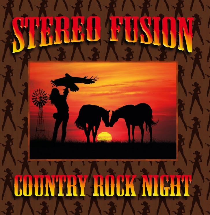 COUNTRY ROCK NIGHT - STEREO NIGHT - CD
