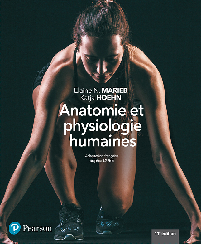 Anatomie et physiologie humaines - 11e édition