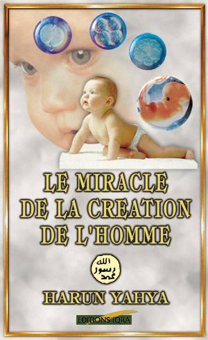 MIRACLE DE LA CRéATION DE L'HO