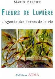 Fleurs de lumière