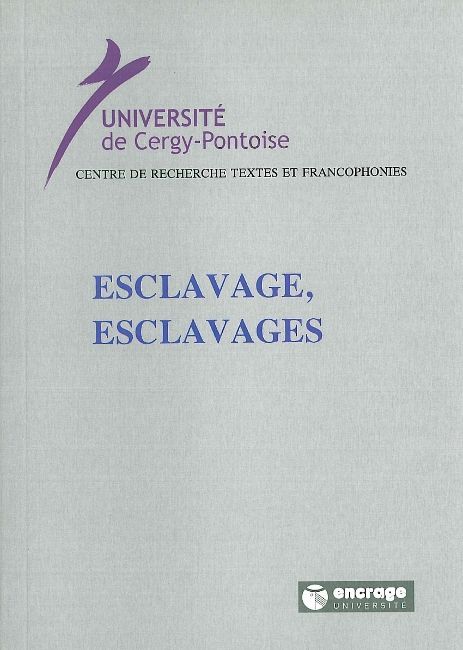 Esclavage, Esclavages