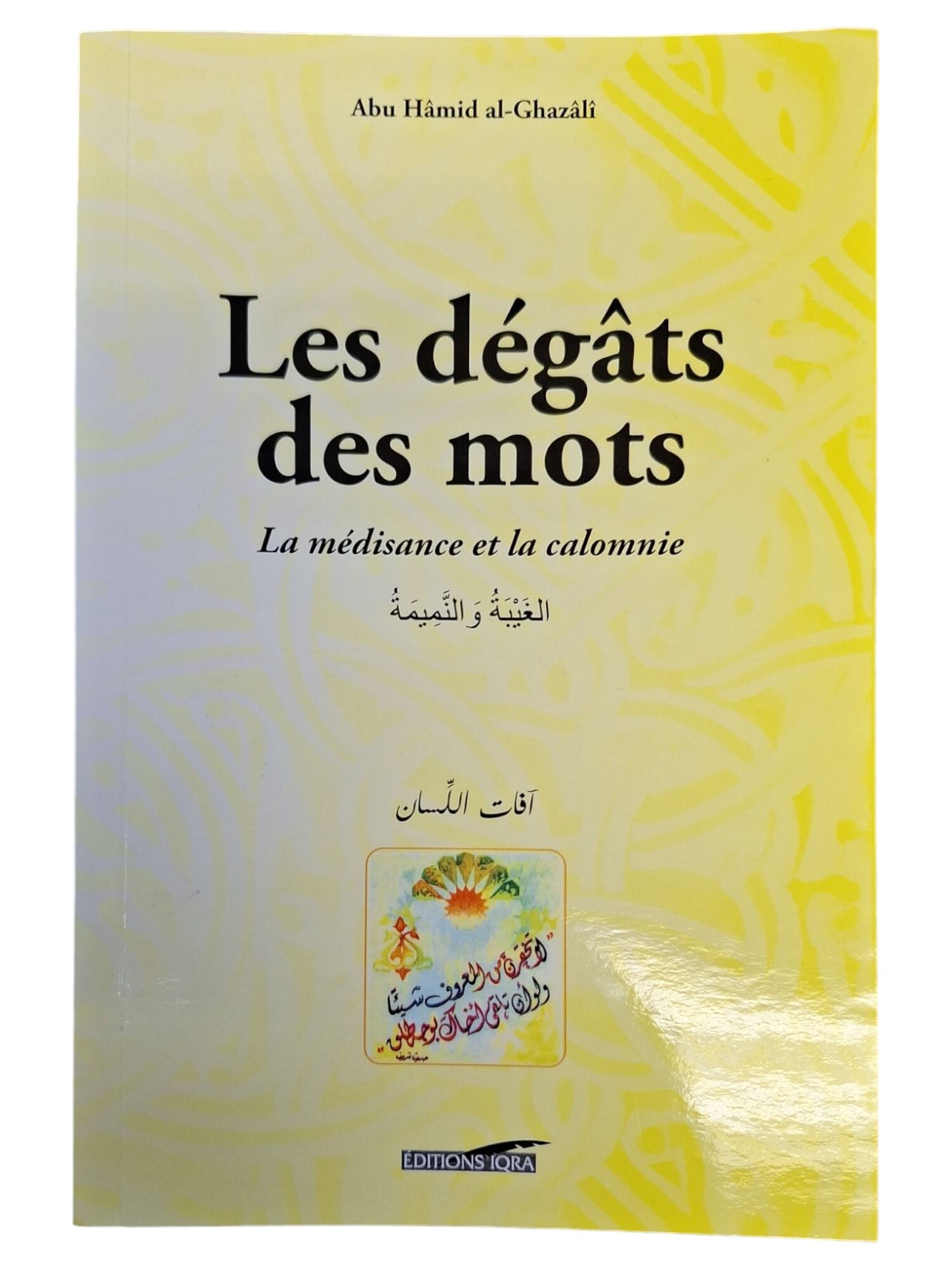 LES DéGâTS DES MOTS GD FORMAT