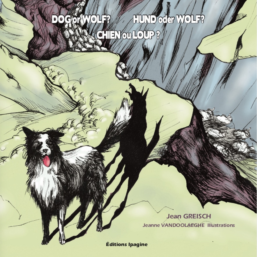 CHIEN ou LOUP?
