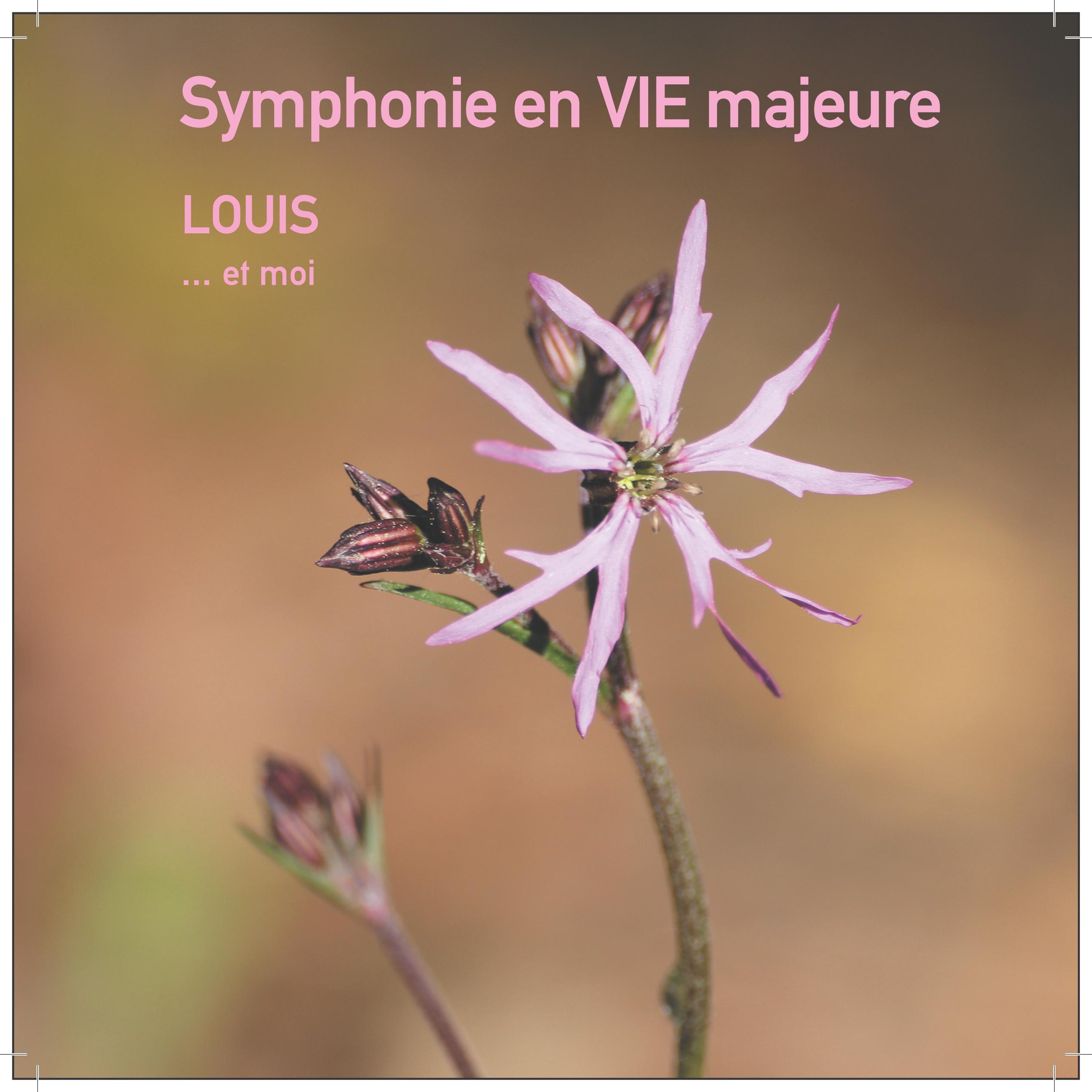 Symphonie en VIE majeure