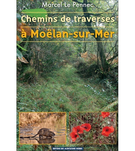CHEMINS DE TRAVERSES à Moëlan sur mer