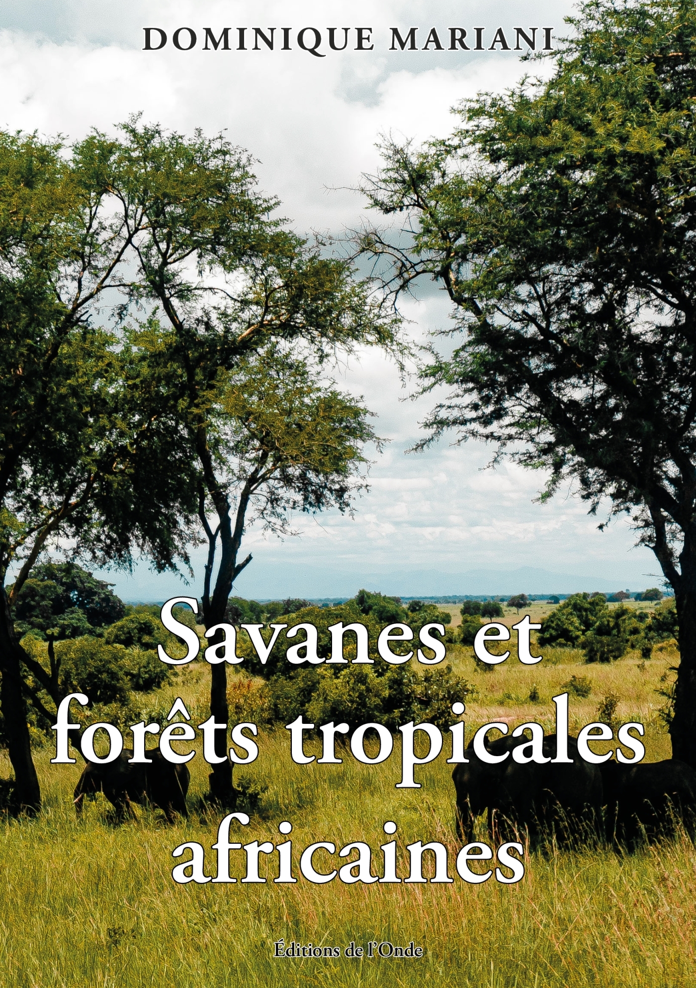 Savanes et forêts tropicales africaines