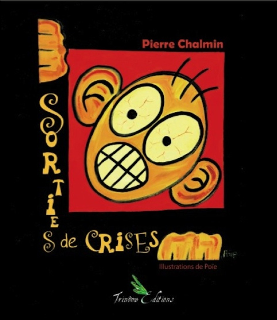 Sorties de crises de Pierre CHALMIN
