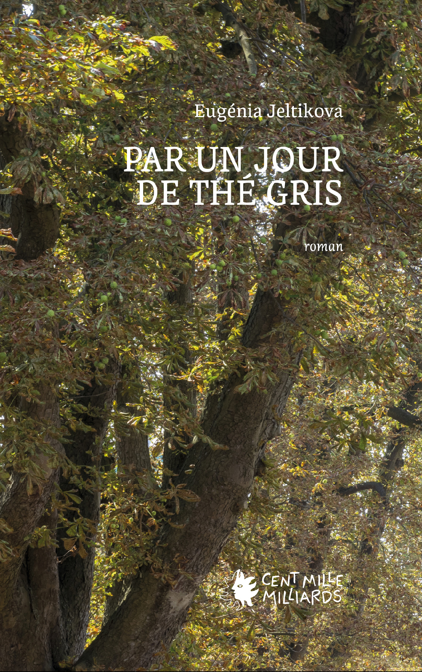 Par un jour de thé gris