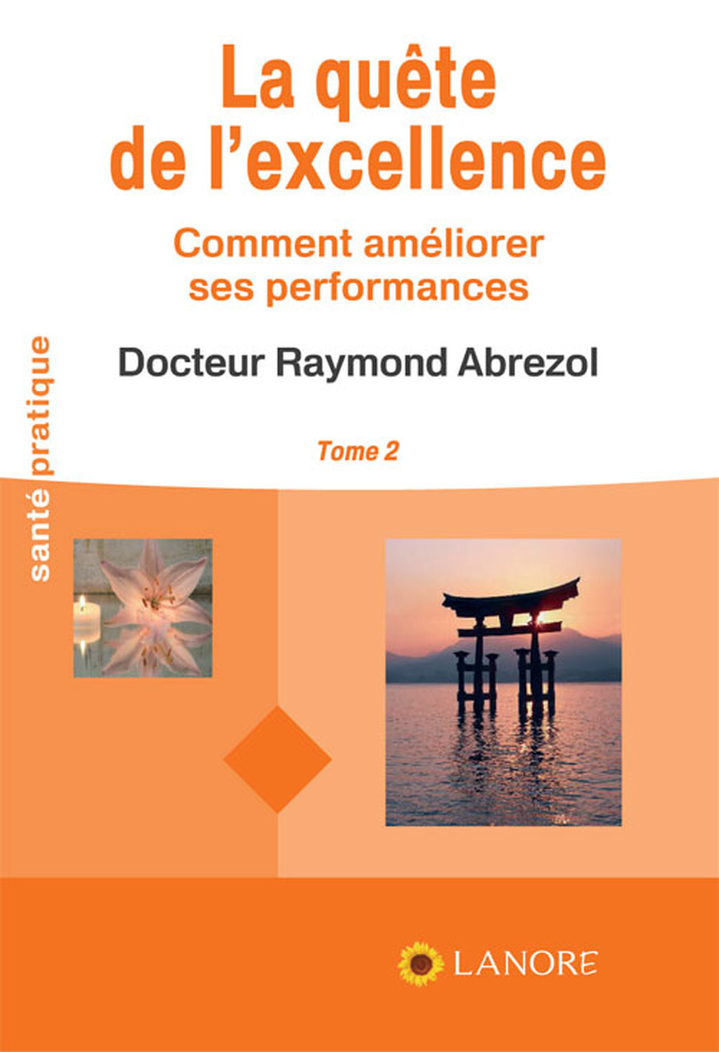 La quête de l'excellence Tome 2 - Comment améliorer ses performances