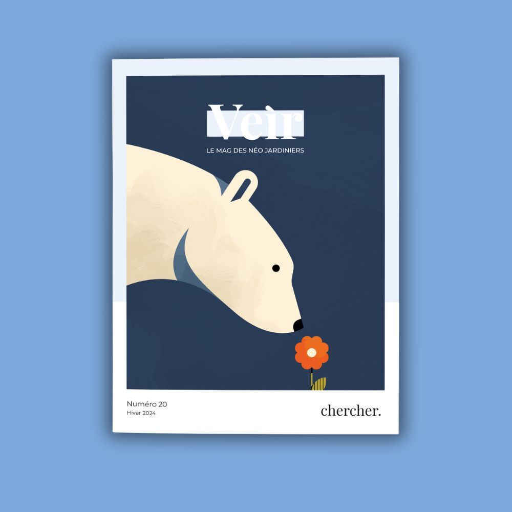 VEIR MAGAZINE - NUMERO 20 - HIVER 2024 - CHERCHER
