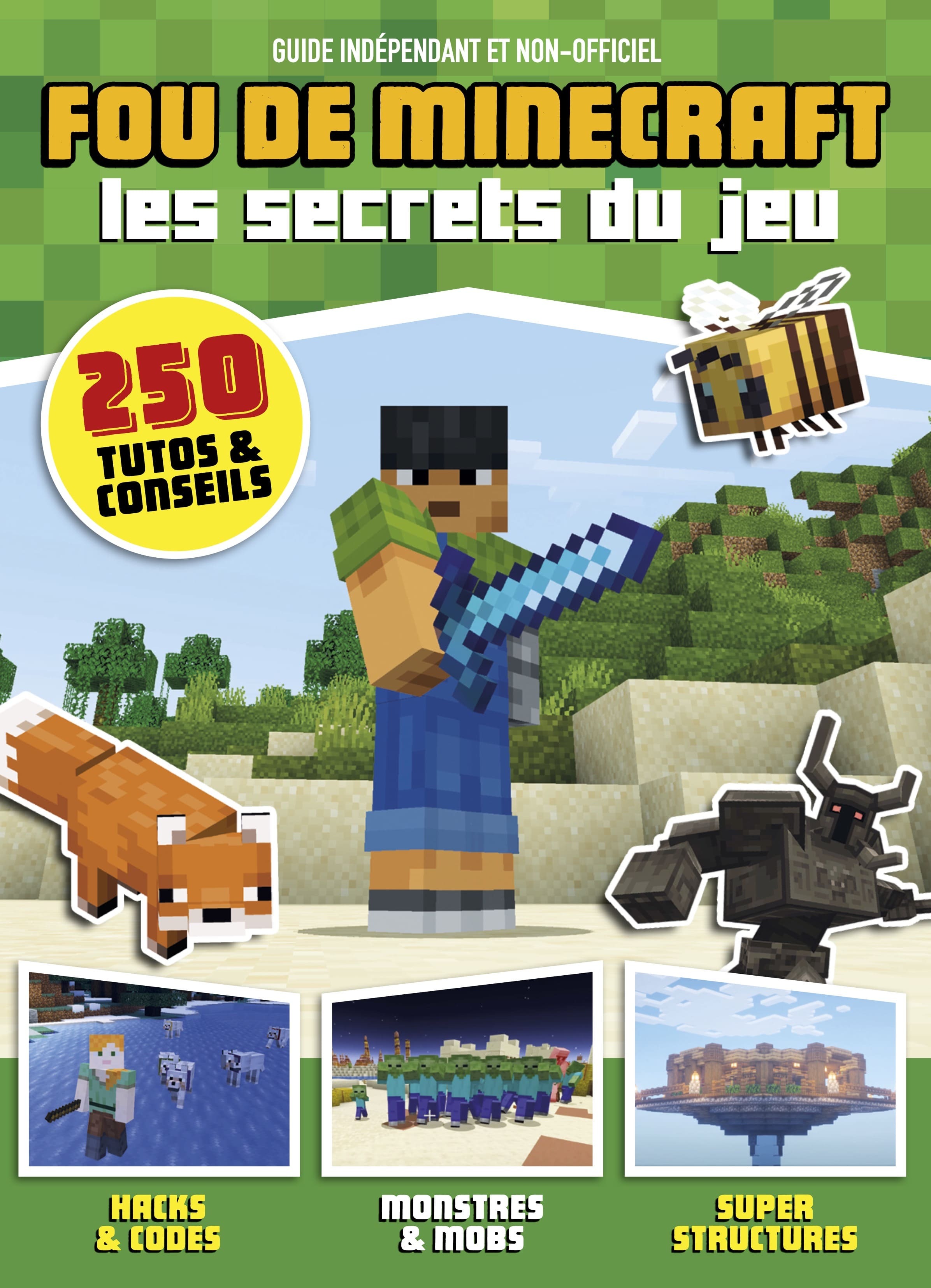 Fou de Minecraft
