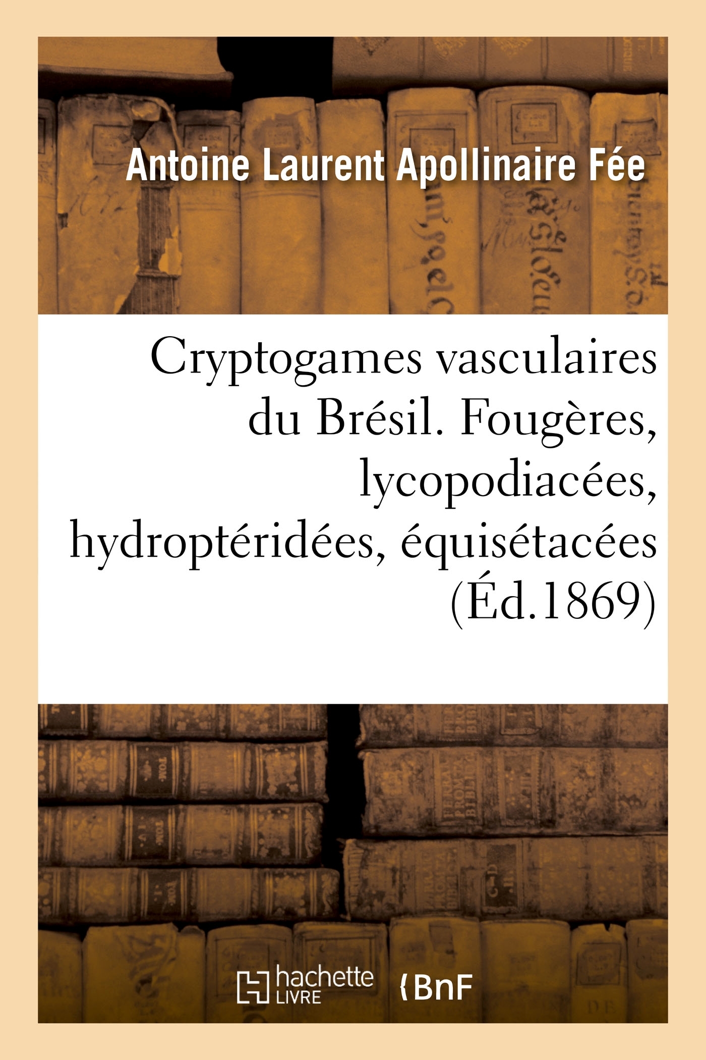 Cryptogames vasculaires du Brésil. Fougères, lycopodiacées, hydroptéridées, équisétacées