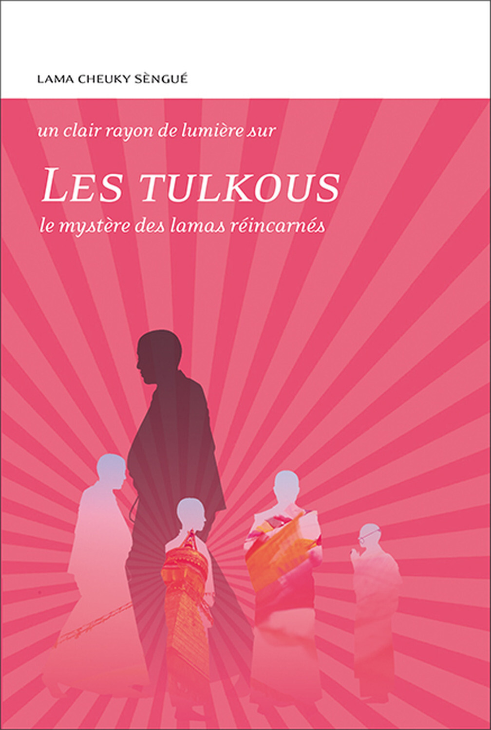 Les Tulkous - Le mystère des lamas réincarnés