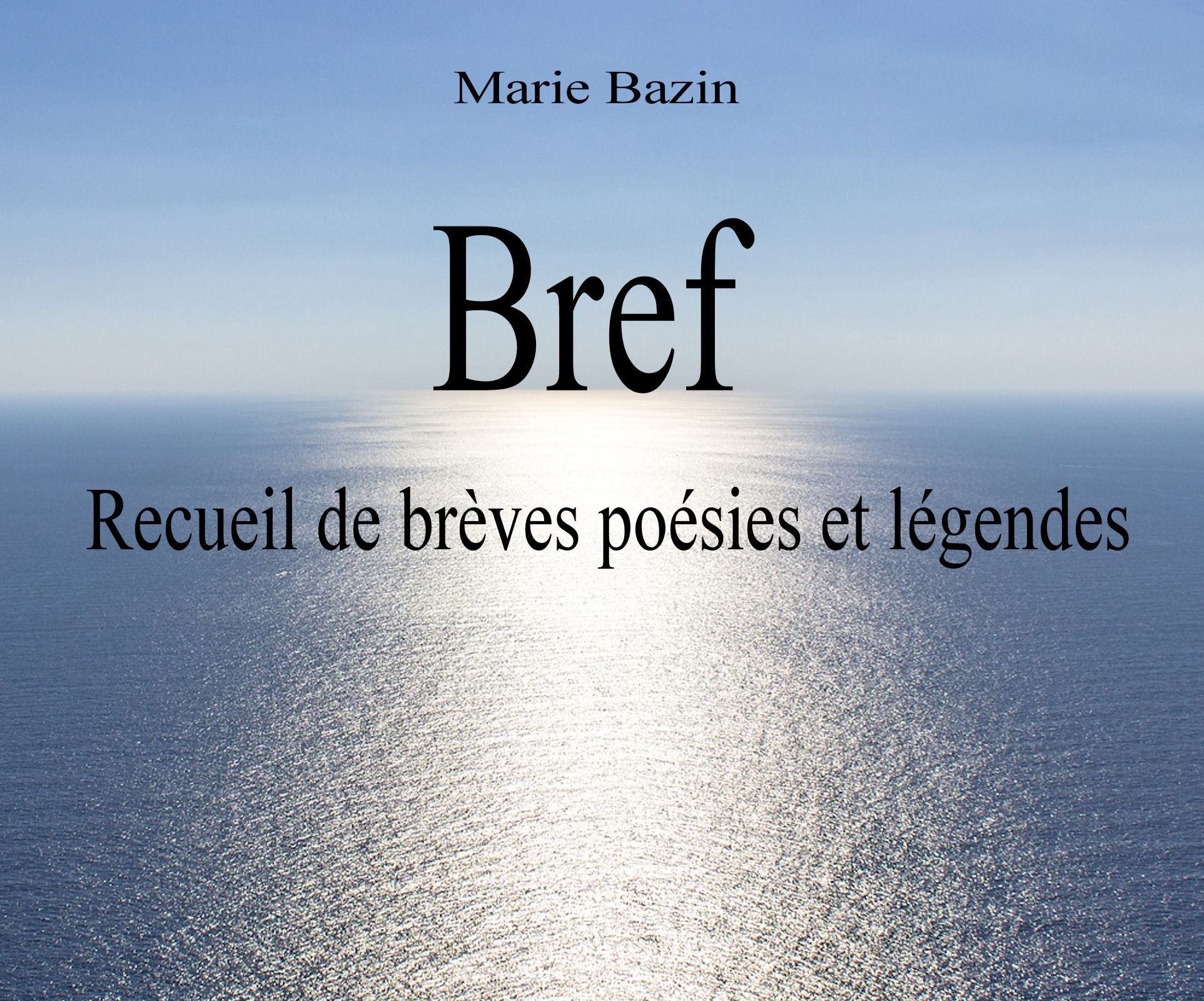 Bref Recueil de brèves