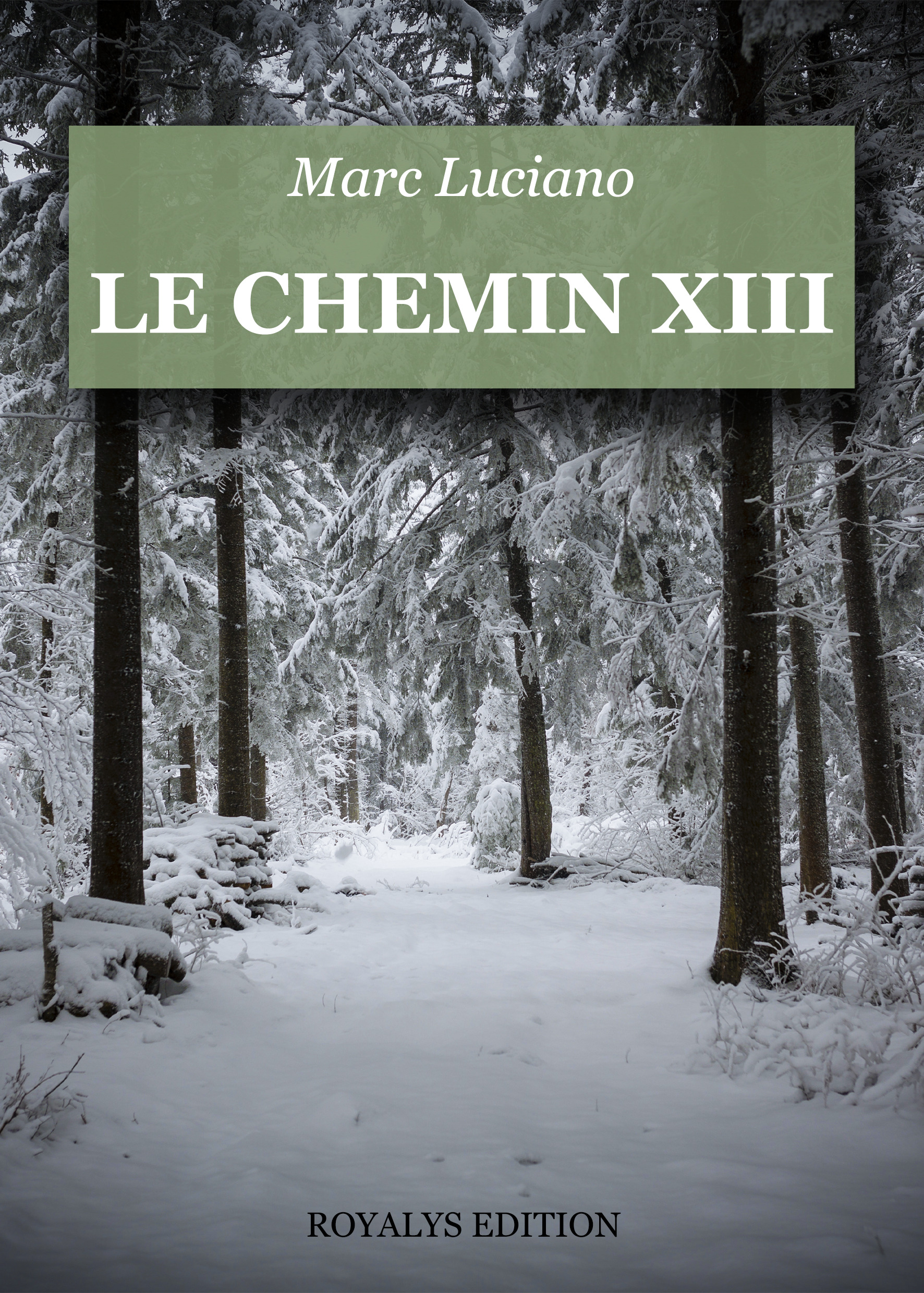 Le chemin XIII