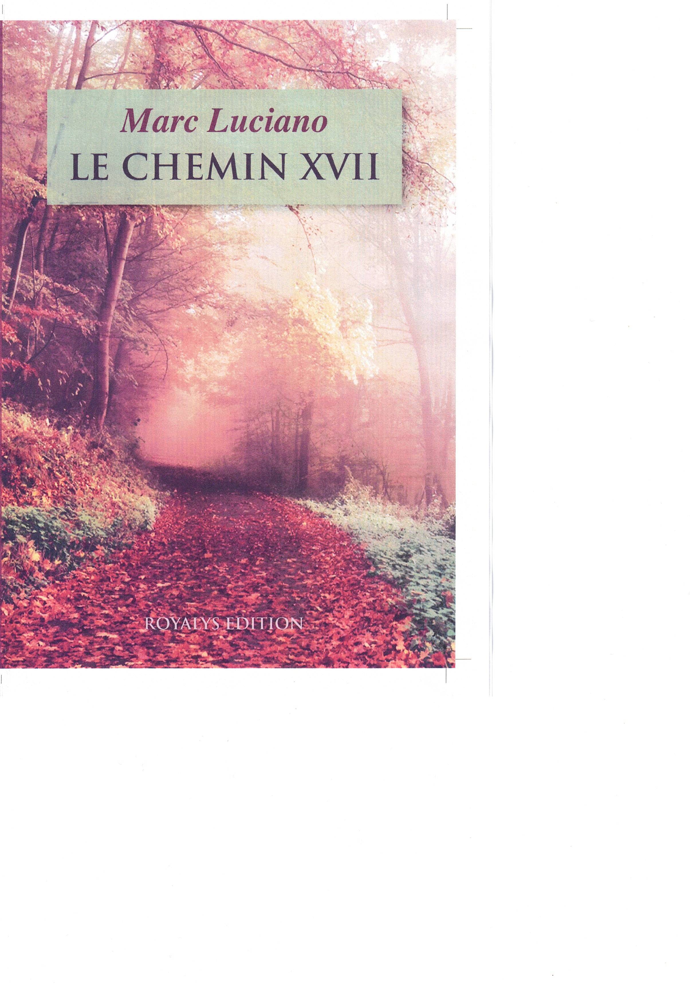 Le chemin XVII