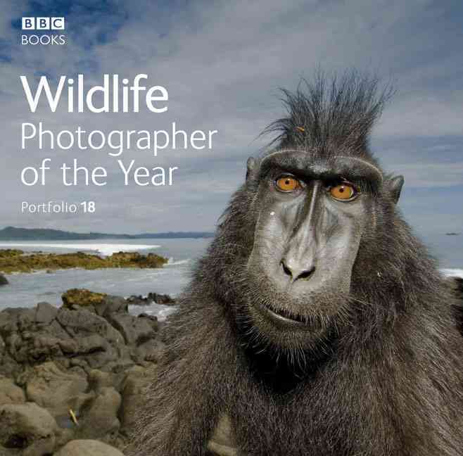 Wildlife Photographer of the Year: Portfolio 18