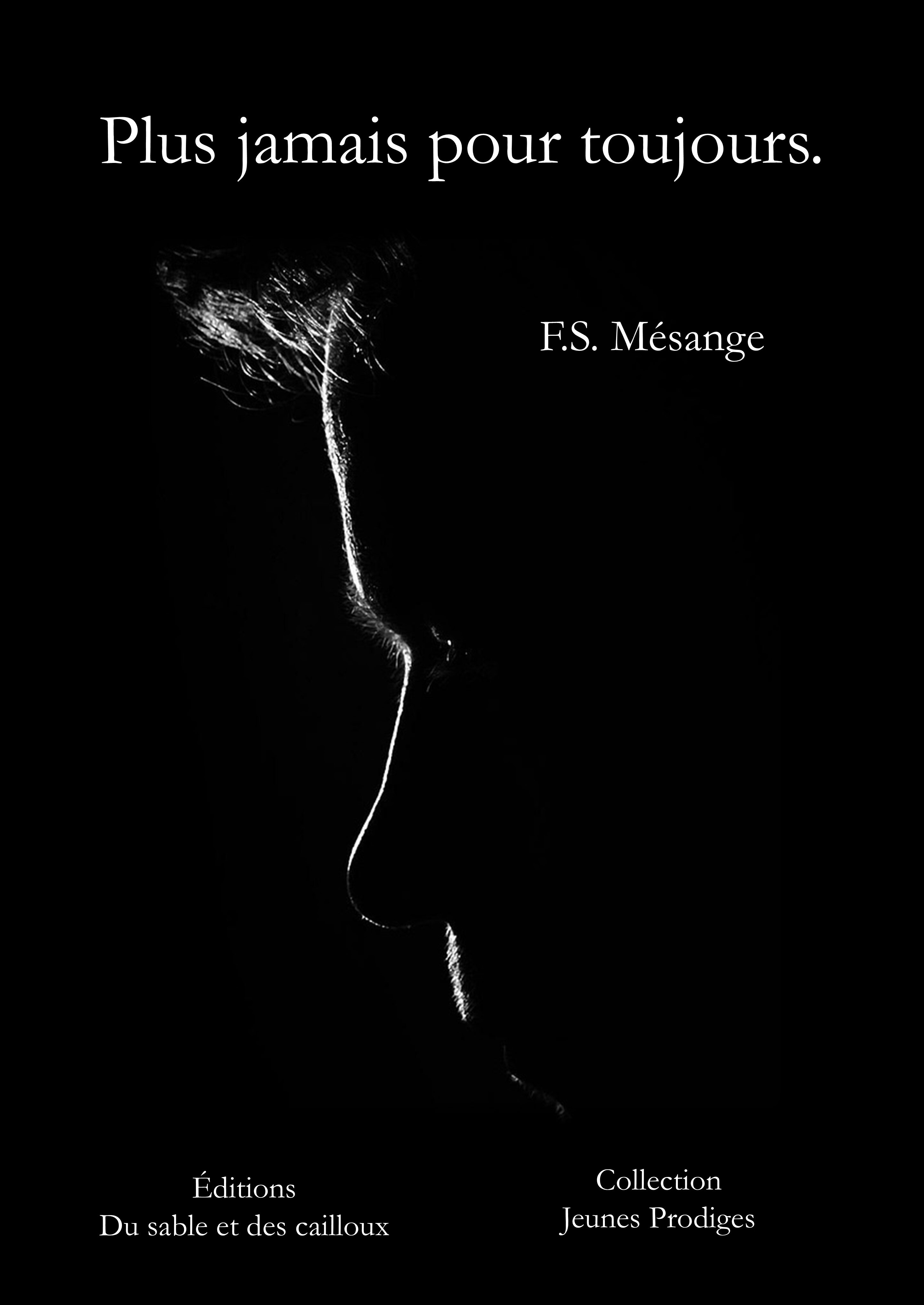 Plus jamais pour toujours