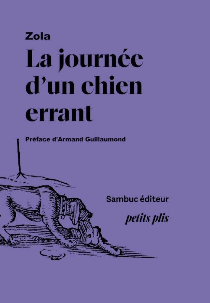 La Journée d’un chien errant