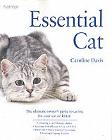 Essential Cat