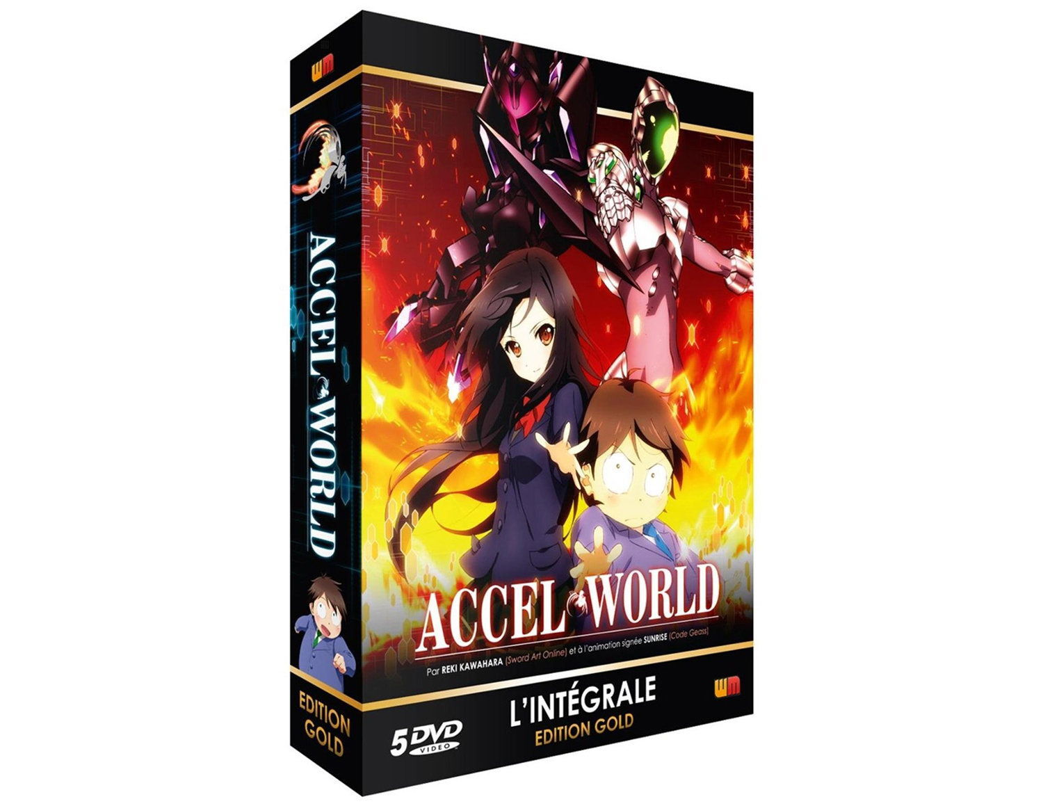 ACCEL WORLD - INTEGRALE - ED. GOLD - 5 DVD + LIVRET
