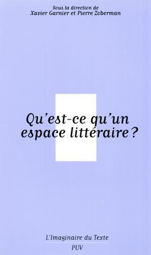 Qu'est-ce qu'un espace littéraire?