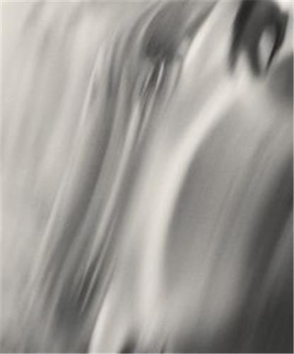 Henry O. Head Twelve Acres /anglais