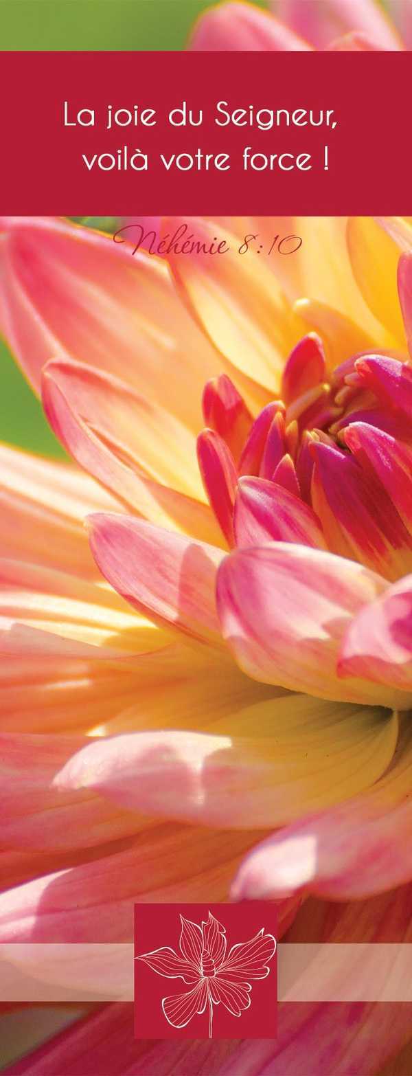 Lot de 20 - Signet Photo Nature La joie du Seigneur - Dalhia