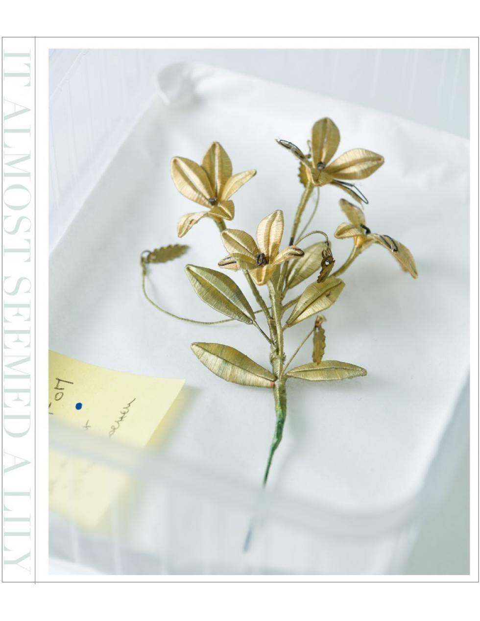 Berlinde De Bruyckere It Almost Seemed a Lily /franCais/anglais/nEerlandais