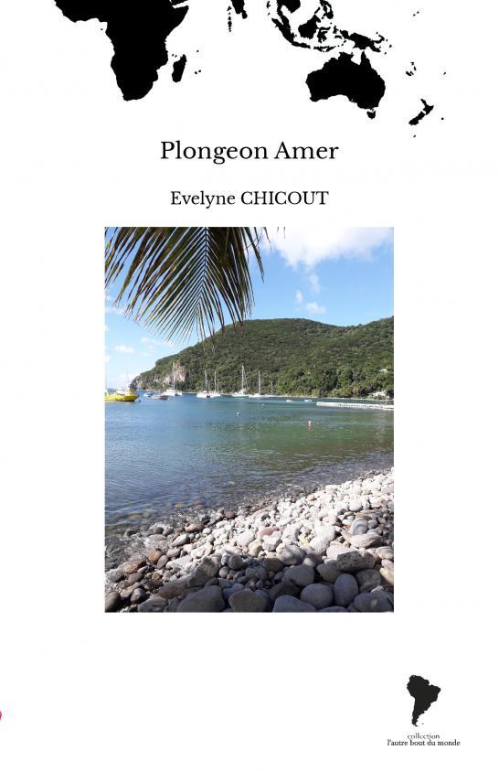 Plongeon Amer