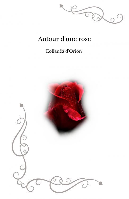 Autour d'une rose