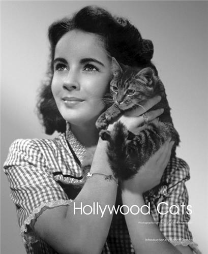 Hollywood Cats /anglais