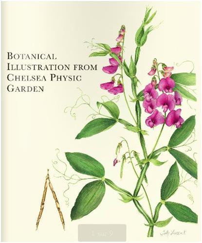 Botanical Illustration from Chelsea Physic Garden /anglais