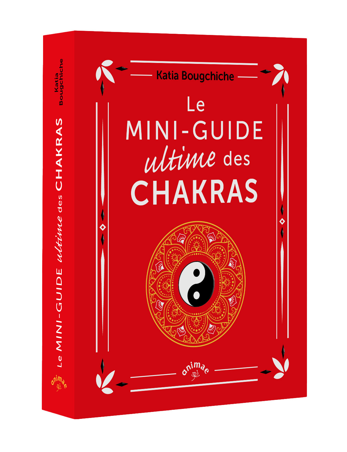 Le Mini-guide ultime des chakras
