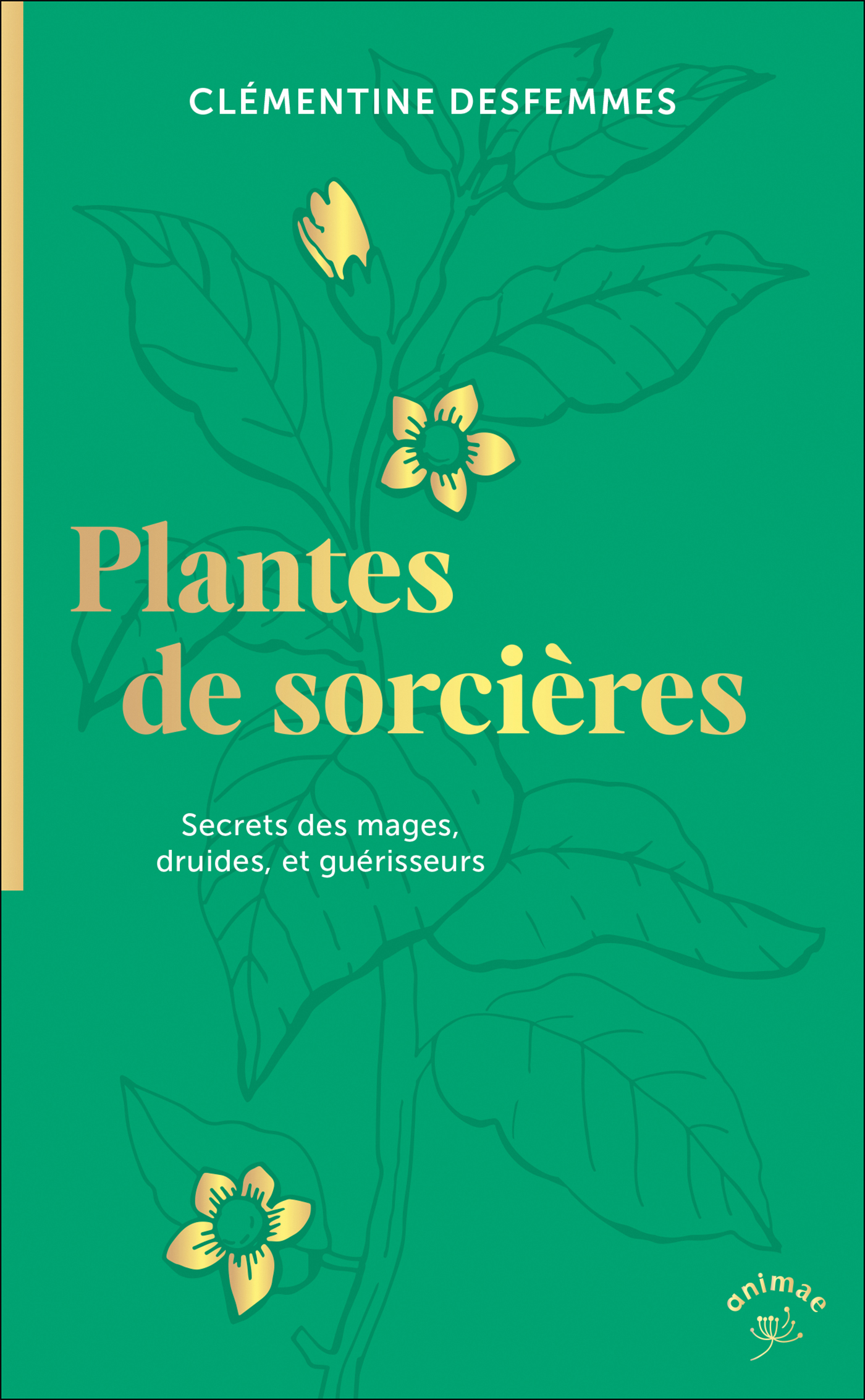 Plantes de sorcières