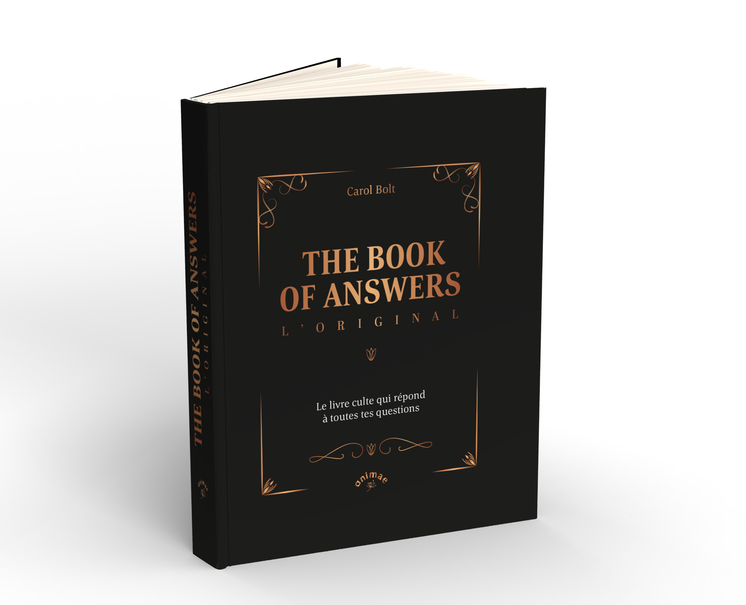 The Book of Answers