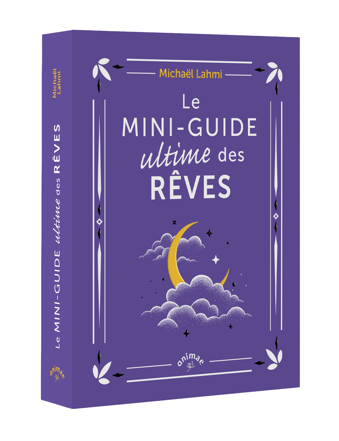 Le Mini-guide ultime des rêves 