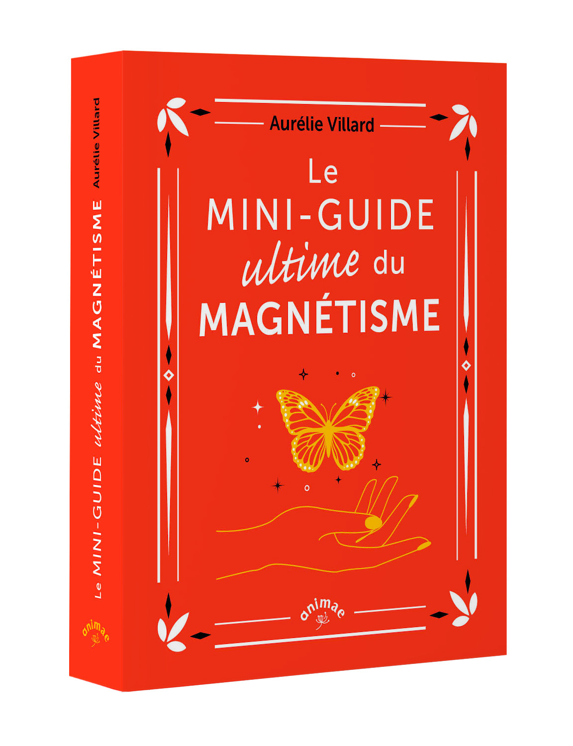 Le Mini-guide ultime du magnétisme