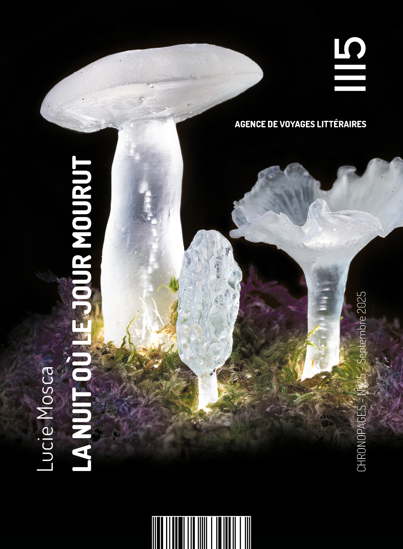 La nuit où le jour mourut