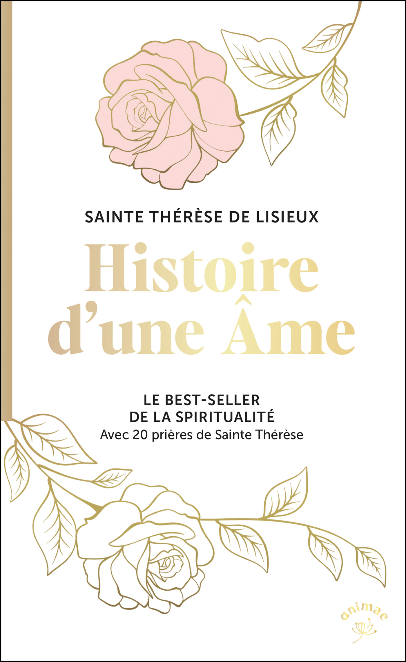 Histoire d'une âme