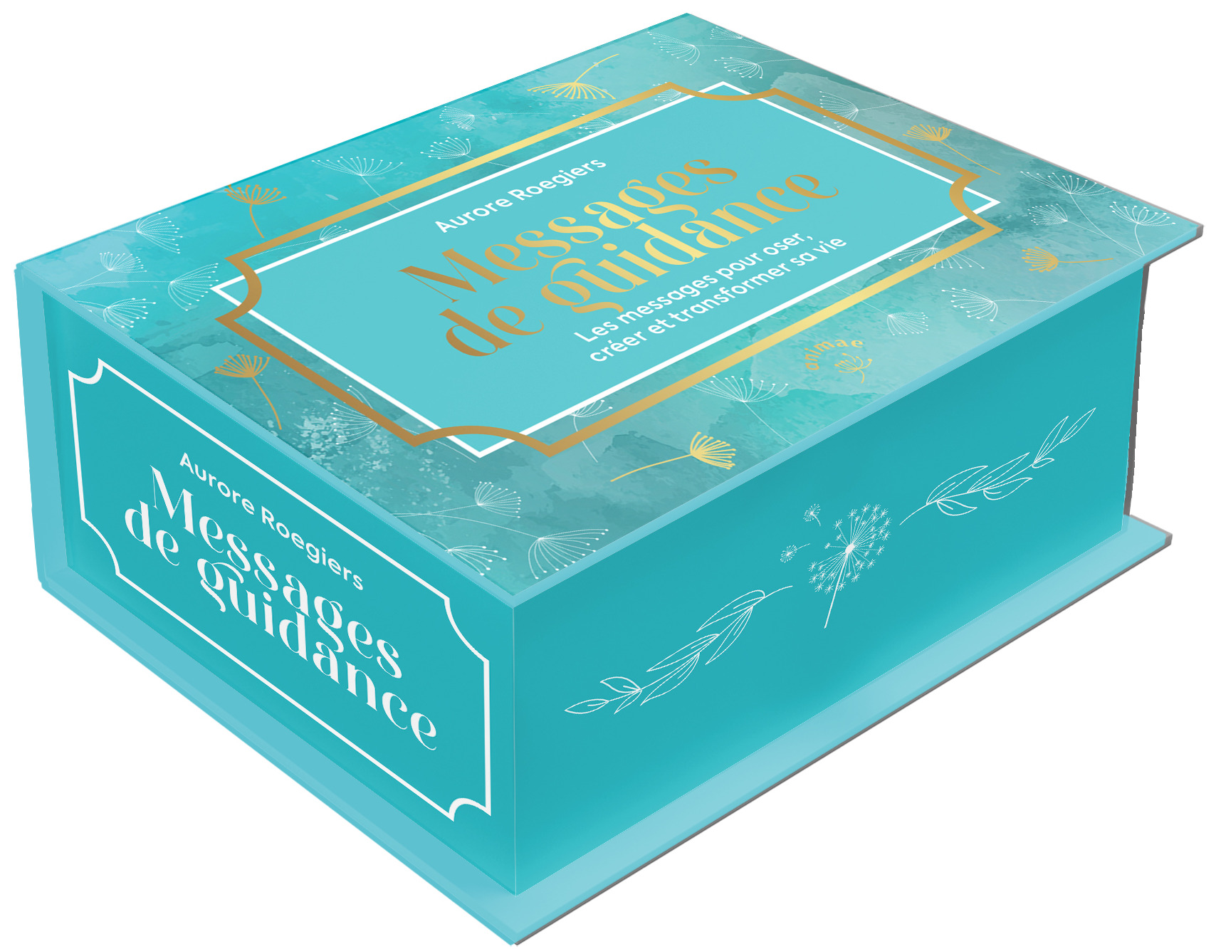 Messages de guidance