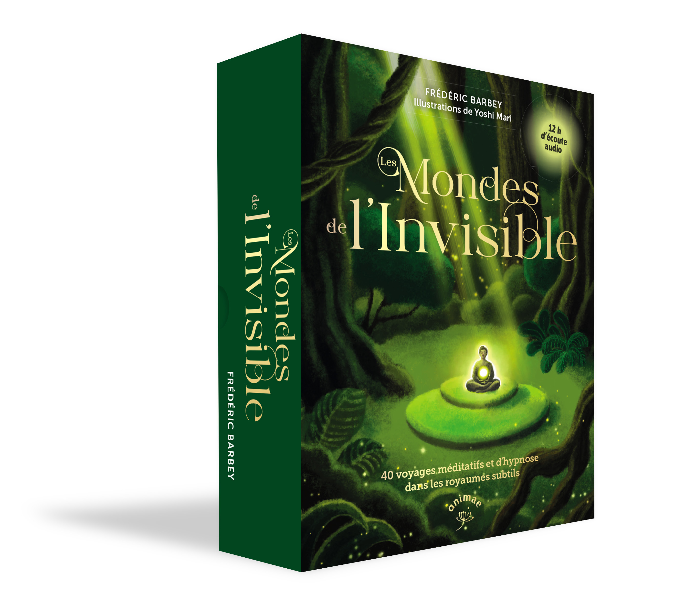 Les Mondes de l'invisible