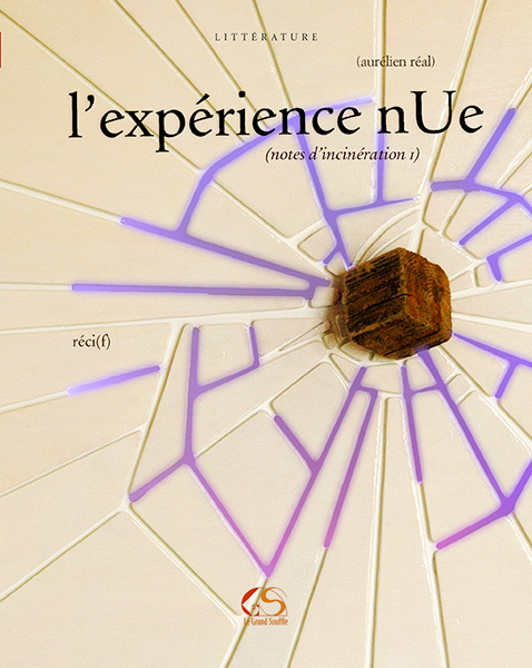 L'EXPERIENCE NUE notes d'incinération I