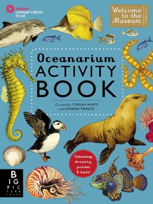 Oceanarium Activity