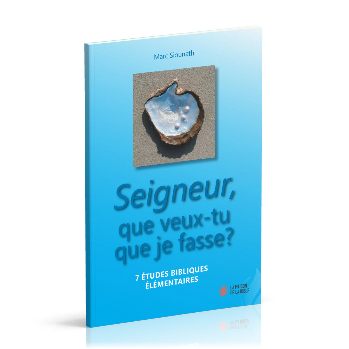 Seigneur, que veux-tu que je fasse ? - 7 études bibliques élémentaires