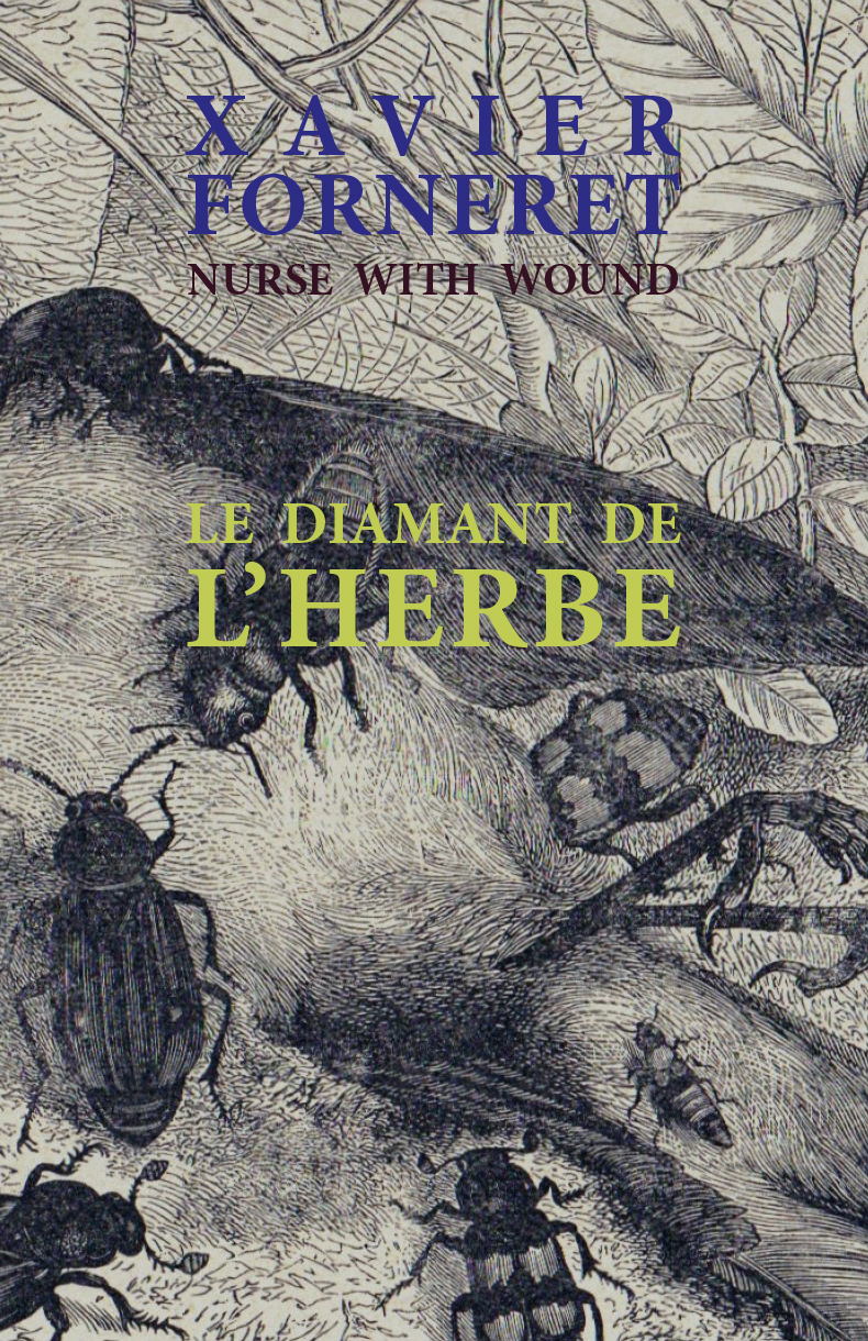 Le diamant de l'herbe (livre + CD)
