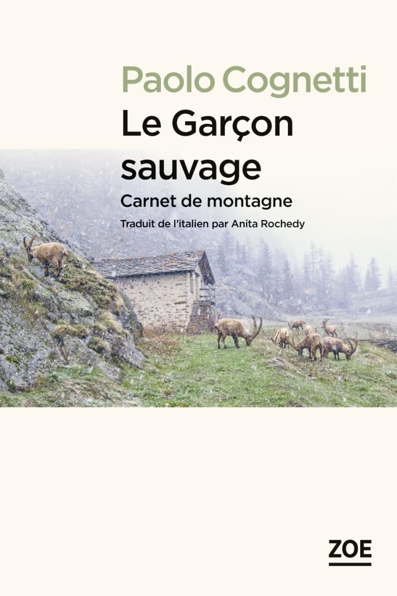 Le Garcon sauvage